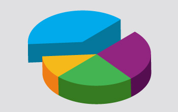 A multi colored pie chart